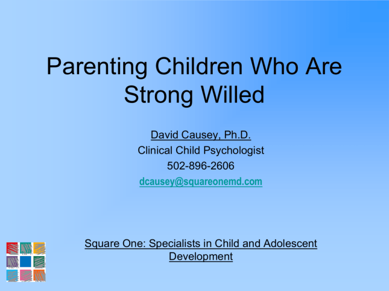 the-strong-willed-child