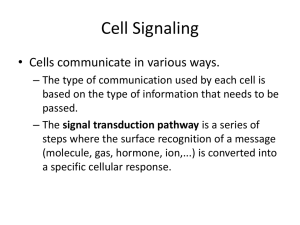 Cell Signaling