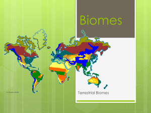 Biomes - hostingdel.com