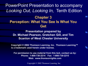 Chapter 3 Perception: What You See Is What You Get