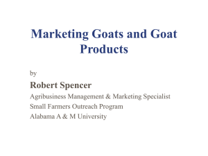 Developing and Implementing a Plan for Marketing ______