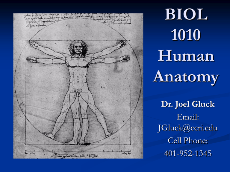 BIOL 1010 Human Anatomy