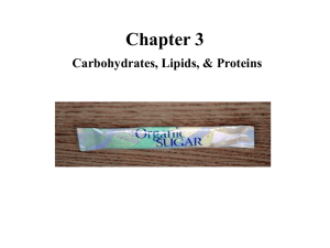 Starting Chap. 3 CARBOHYDRATES