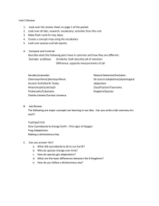 Unit 3 Review