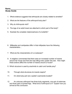 Arthropods Study Guide: Anatomy, Classification, and More