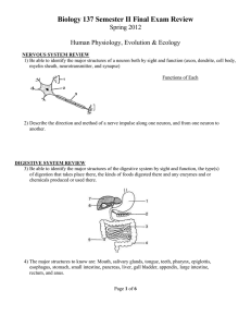 Biology Exam Review: Human Physiology, Evolution, Ecology