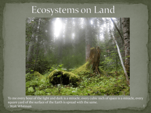Land Ecosystems and Ecological Succession