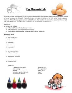 Egg Osmosis Lab: Diffusion & Osmosis Experiment