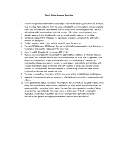 Study Guide Answers: Genetics