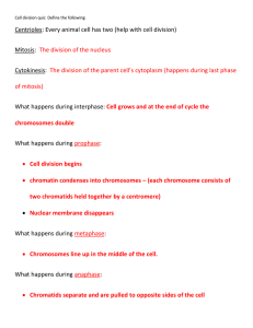 Cell Division Quiz: Mitosis, Meiosis, and Cell Cycle