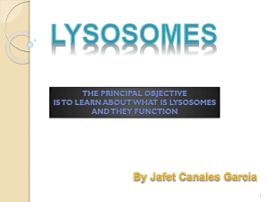 Lysosomes