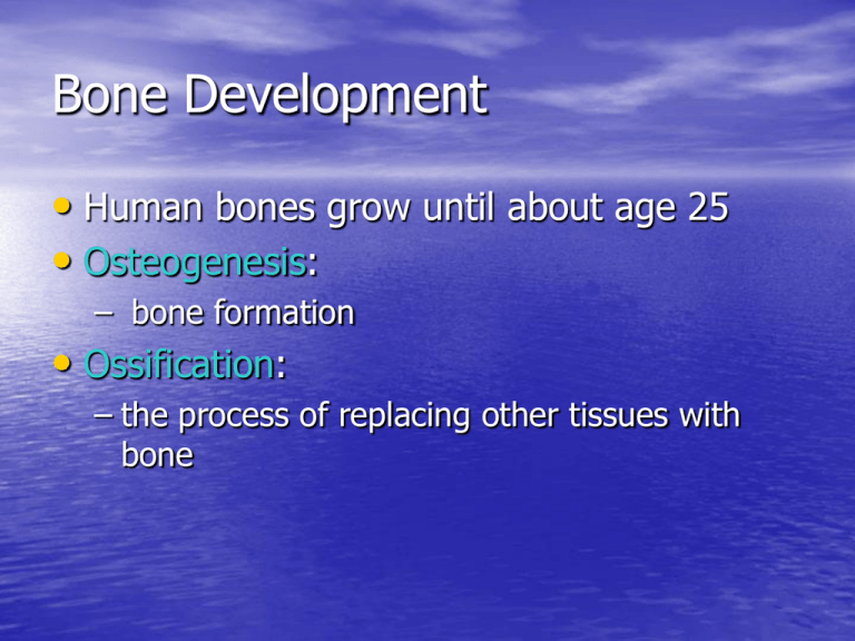 Bone Development & Remodeling: Ossification, Fractures, Aging