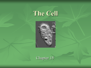 The Cell - myndrs.com