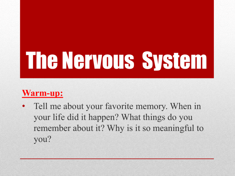 Nervous System