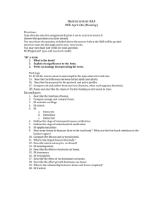 Skeletal system R&R DUE April 6th (Monday) Directions: Type