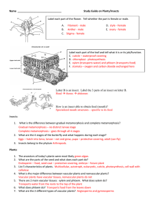 Plant test study guide answers