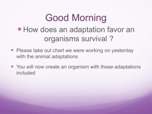 Evolution power point