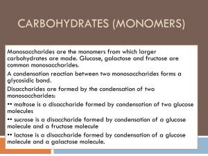 Lesson 2 Monosaccharides, disaccharide formation