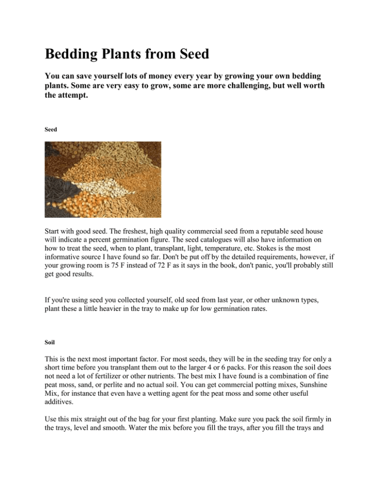Bedding Plants from Seed
