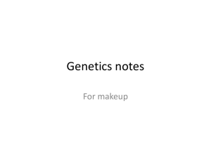 Genetics notes for makeup