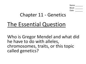 Chapter 11 - Genetics