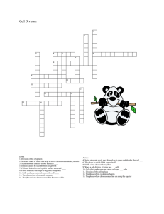 Cell Division Crossword Puzzle: Biology Review