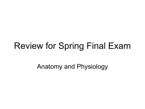 Review for Spring Final Exam