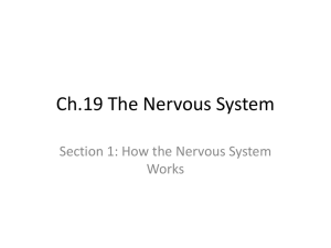 Ch19 Section 1