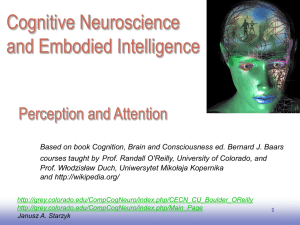 Perception and Attention