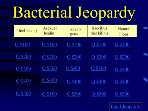 Bacteria and Viruses Jeopardy