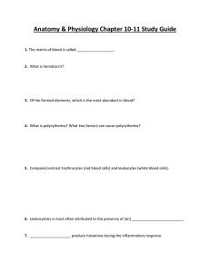 Anatomy & Physiology Chapter 10-11 Study Guide