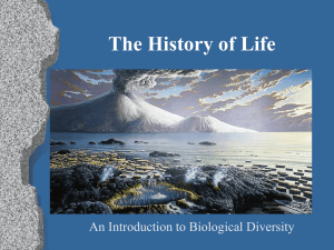 The History of Life