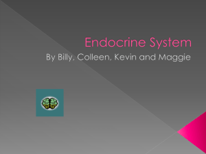Endocrine System