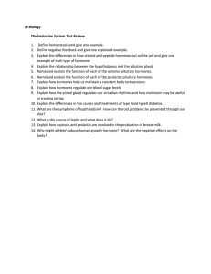 1. Circulatory System Review Test: Friday, December