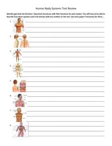 Human Body Systems Test Review - High School
