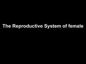 FEMALE REPRODUCTIVE SYSTEM HORMONAL REGULATION