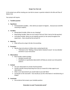 Design Your Own Lab: Mix & Flow of Matter Project