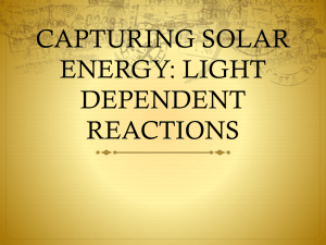 CAPTURING SOLAR ENERGY: LIGHT DEPENDENT REACTIONS