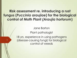 Applicant's Presentation at hearing (3) ()