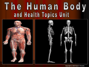 Intro to Body Systems - Magoffin County Schools