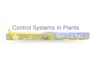 Control Systems In Plants