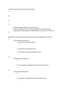 1. Description and Function