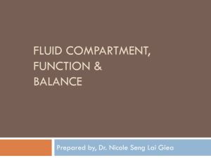 fluid homeostasis and compartment