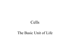 Cells