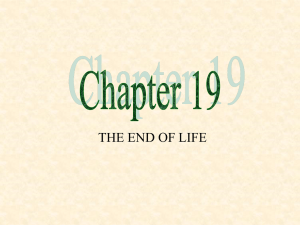 Chapter 19 PowerPoint