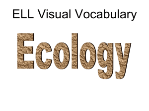 Ecology Vocab with pictures