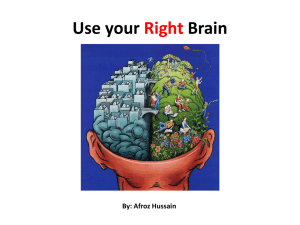 right vs. left brain