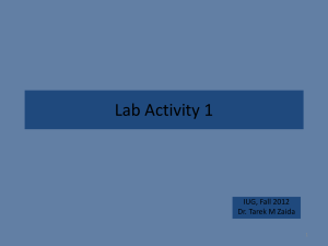 Lab Activity 1: Nonenzymatic Browning
