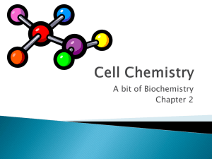 Biochemistry Basics: Cells, Molecules, Enzymes