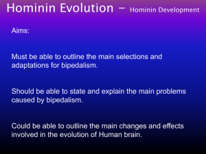 Biology 4.32 Hominin Evolution